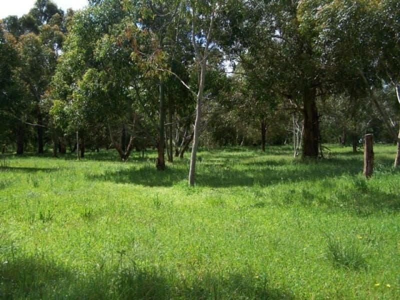 Lot 21 Blackwood Road MILLICENT SA, Millicent - Thumbnail 3