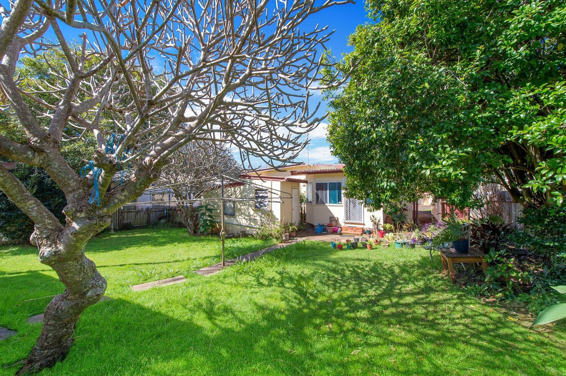 3 Crisallen Street Port Macquarie NSW, Port Macquarie - Thumbnail 6