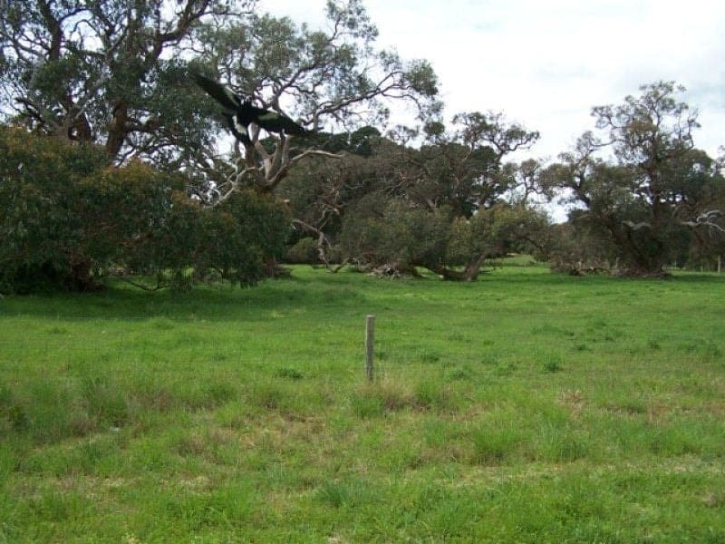 Banksia Road MILLICENT SA, Millicent - Image 1