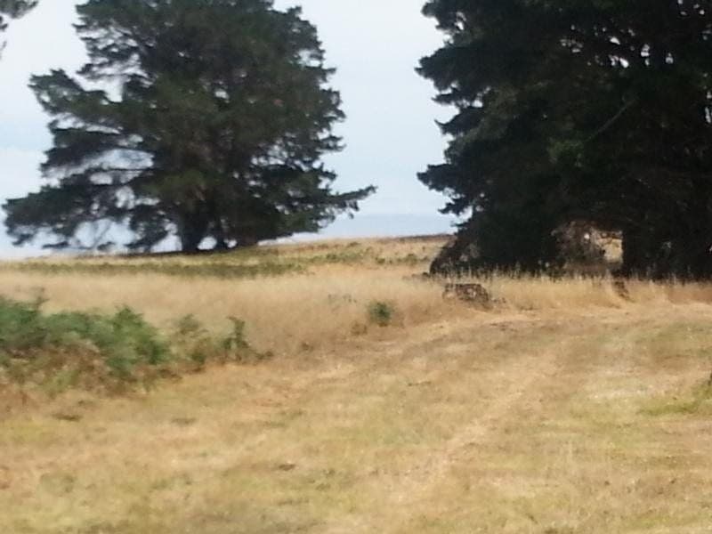 Lot 184 West Terrace HATHERLEIGH SA, Hatherleigh - Thumbnail 2