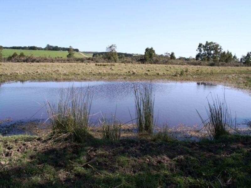 Lot 13B Princes Highway WINNAP VIC, Winnap - Image 1