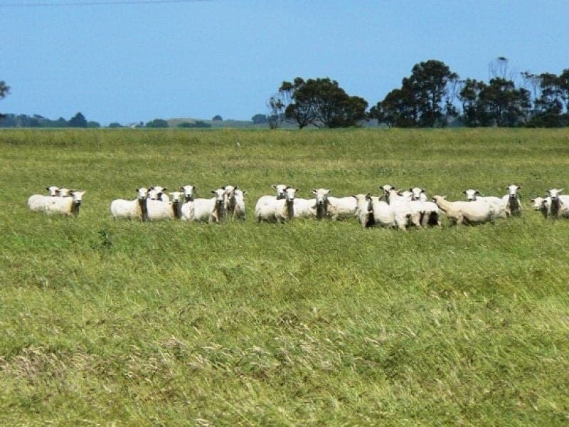 204/ Pooles Road HATHERLEIGH SA, Hatherleigh - Image 1