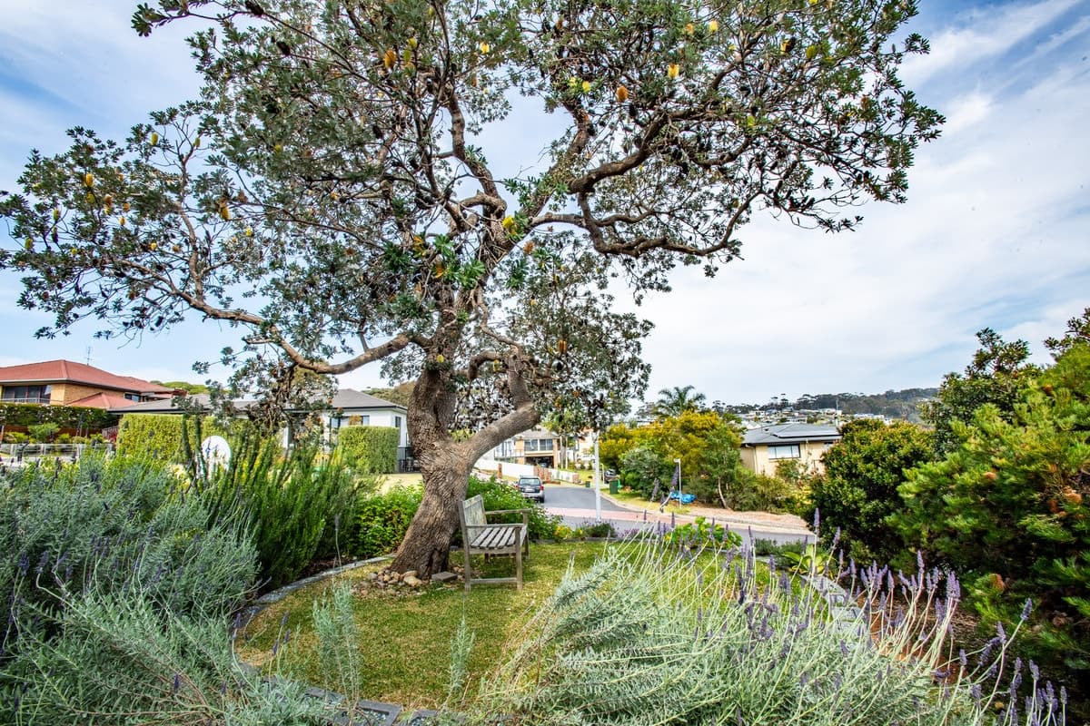 52 Bournda Circuit, Tura Beach - Thumbnail 8