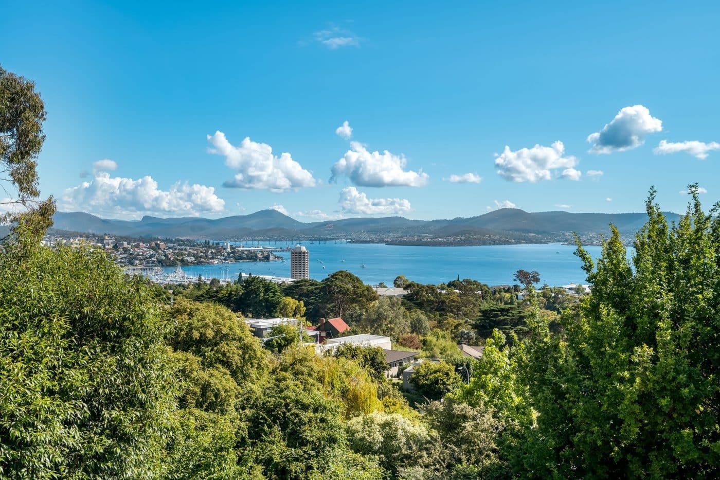40 Beddome Street, Sandy Bay - Thumbnail 3