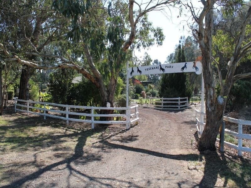 Lot 1 Acacia Drive MILLICENT SA, Millicent - Image 1