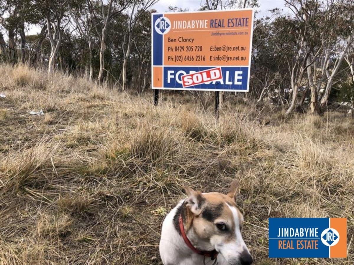 10 Percy Harris Street, Jindabyne NSW 2627, Jindabyne - Thumbnail 2