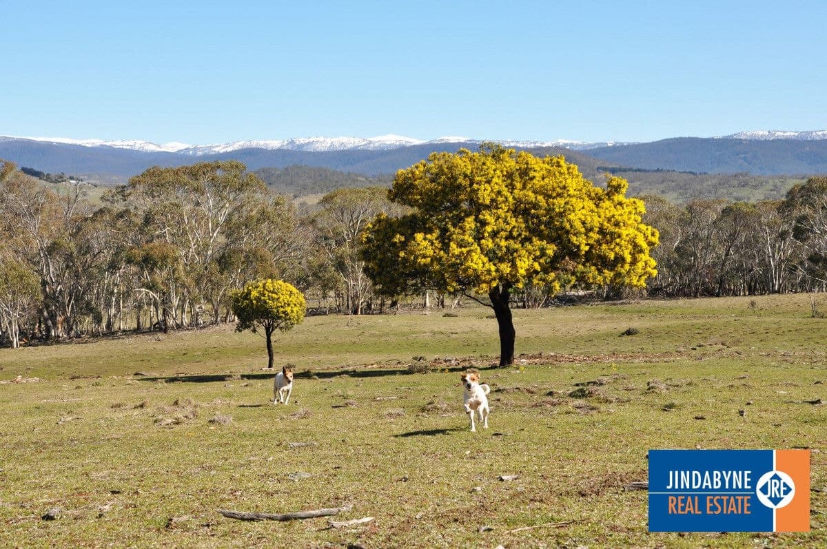 Lot 1, "Glaughan", Thornybush Road, Moonbah NSW 2627, "Glaughan" - Thumbnail 3