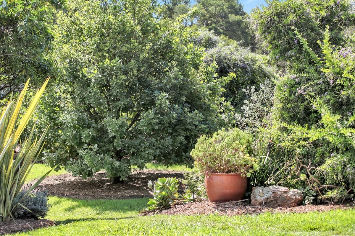 29 Bindaree Road, Lochiel - Thumbnail 3