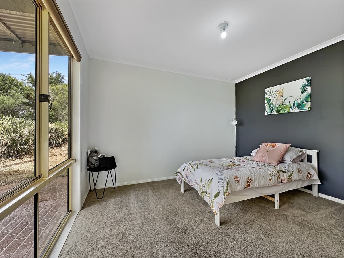 50 Springfield Road, Kameruka - Thumbnail 8