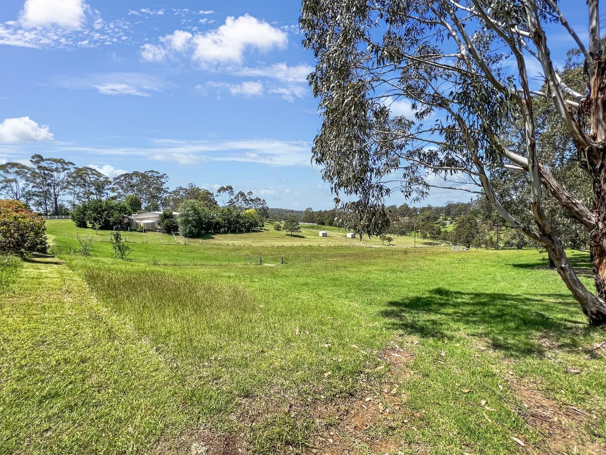 339 Bald Hills Road, Bald Hills - Thumbnail 4
