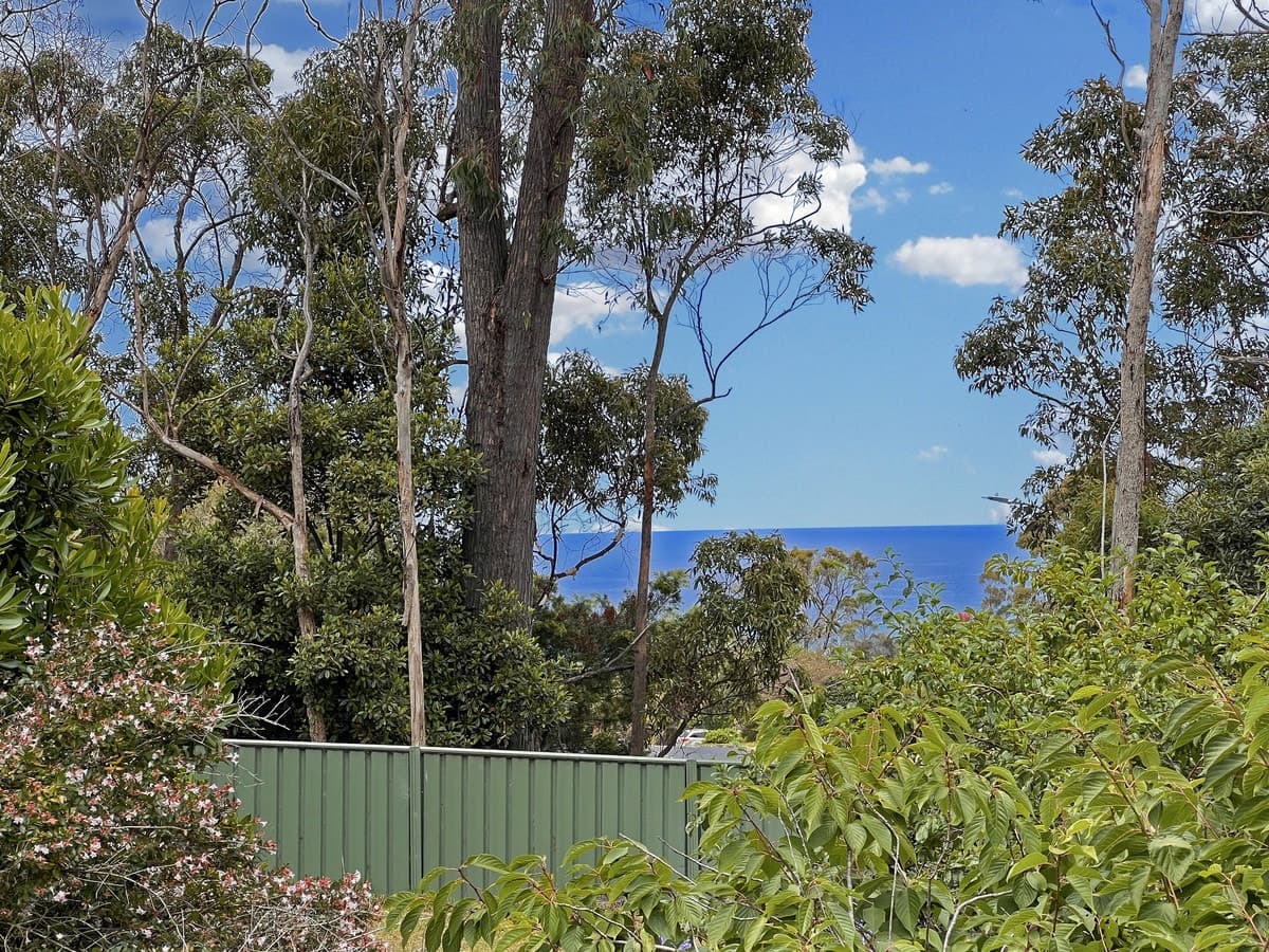 2 Tristania Court, Tura Beach - Thumbnail 6
