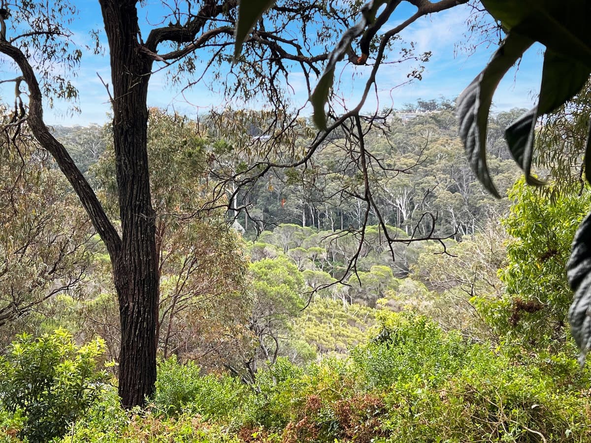 65 Lakeview Avenue, Merimbula - Thumbnail 5