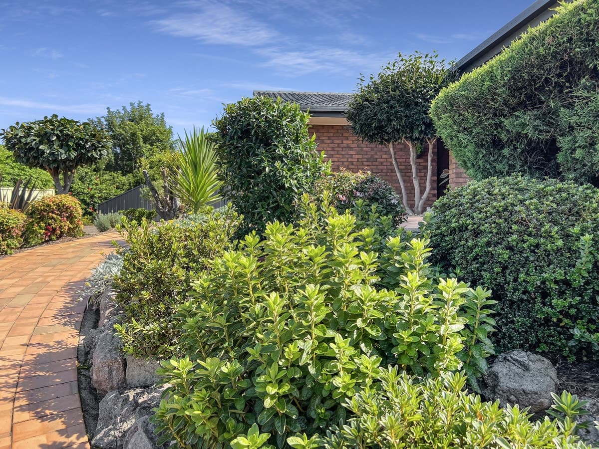 13 Pacific Way, Tura Beach - Thumbnail 6