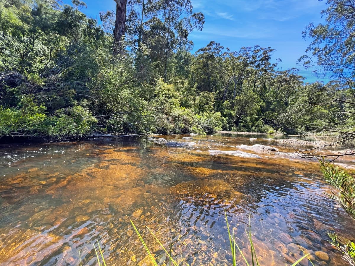 370 Back Creek Road, Nethercote - Thumbnail 3