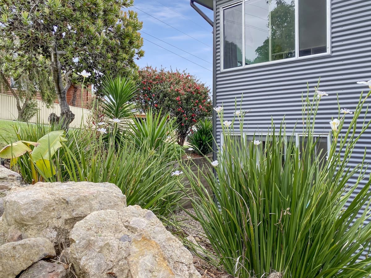 11 Short Street, South Pambula - Thumbnail 3