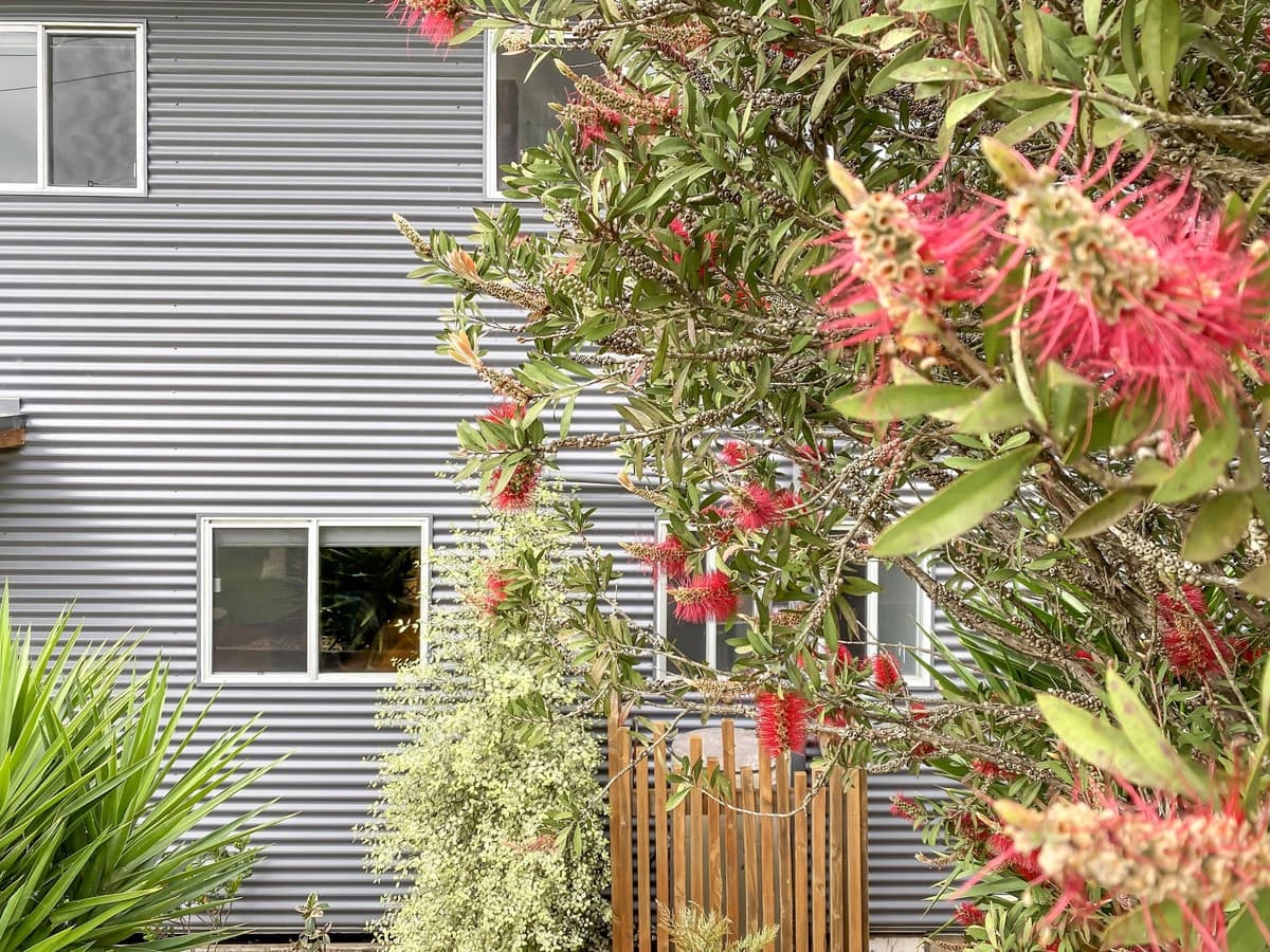 11 Short Street, South Pambula - Thumbnail 4
