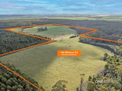 109 Williams Road, Scopus, Scopus - Thumbnail 2