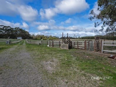 109 Williams Road, Scopus, Scopus - Thumbnail 3