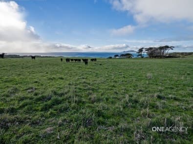 30 Hansons Road, Marrawah, Marrawah - Thumbnail 5