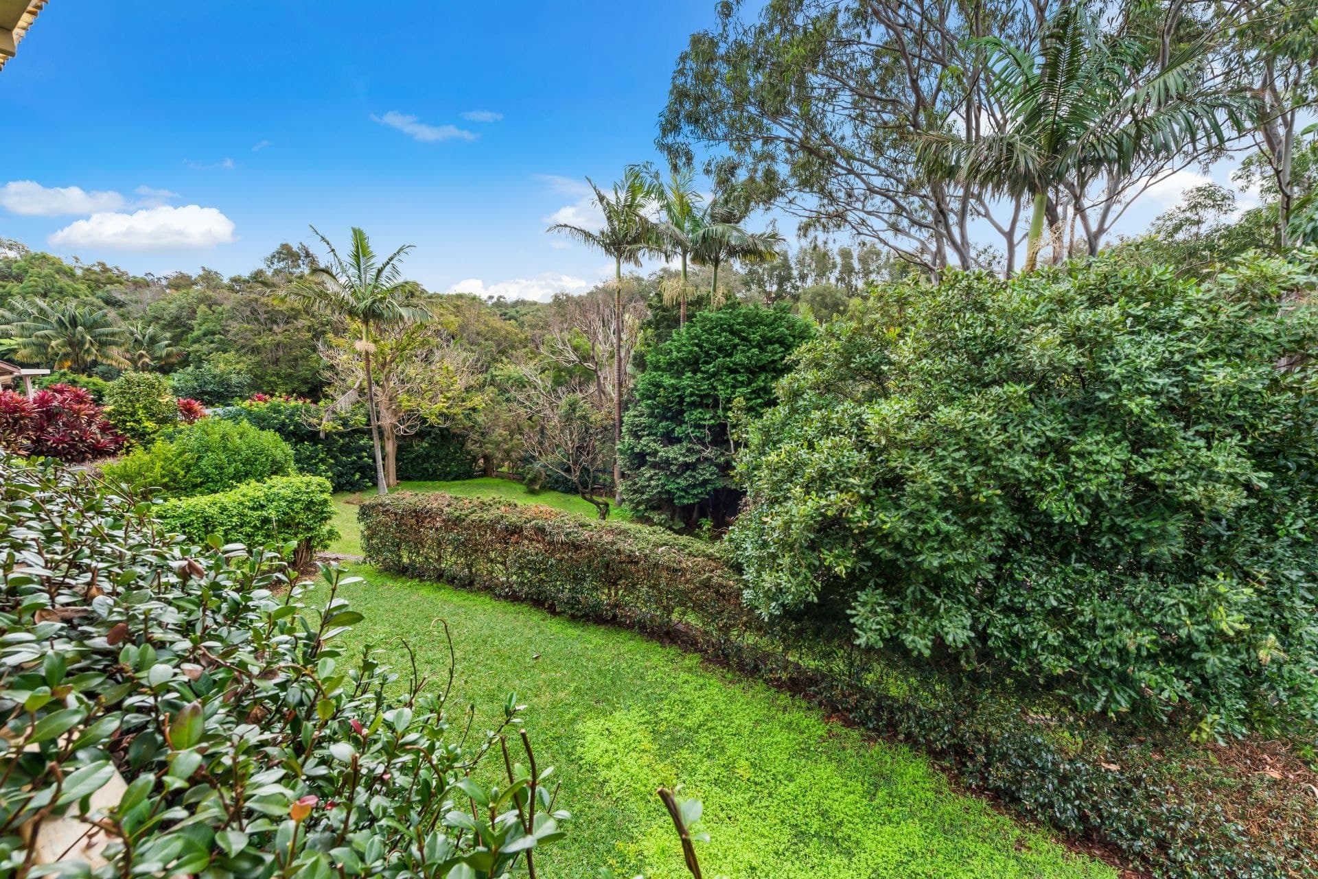 25 Elparra Close Port Macquarie NSW, Port Macquarie - Thumbnail 6