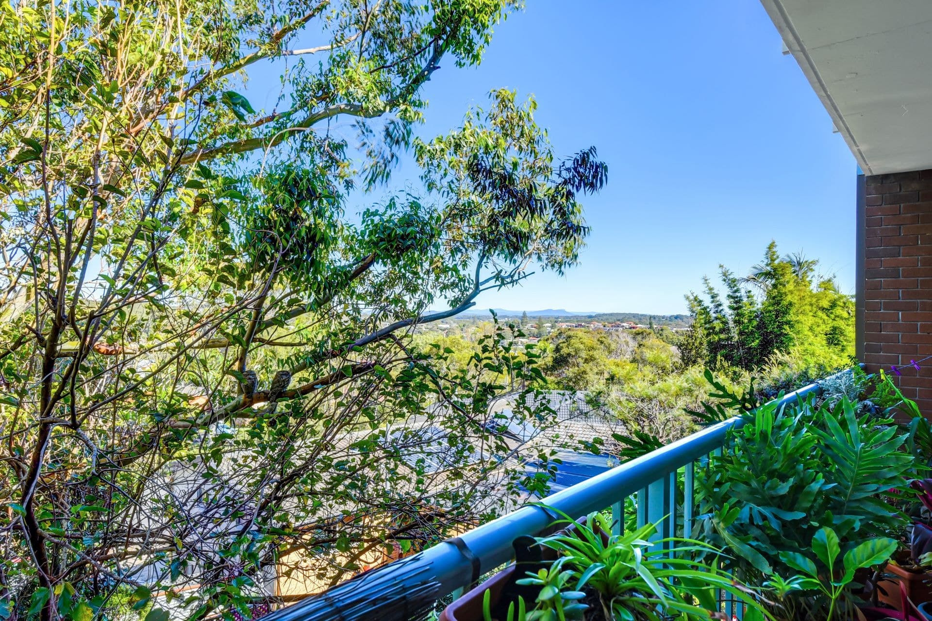 4/8 Windmill Street Port Macquarie NSW, Port Macquarie - Image 1
