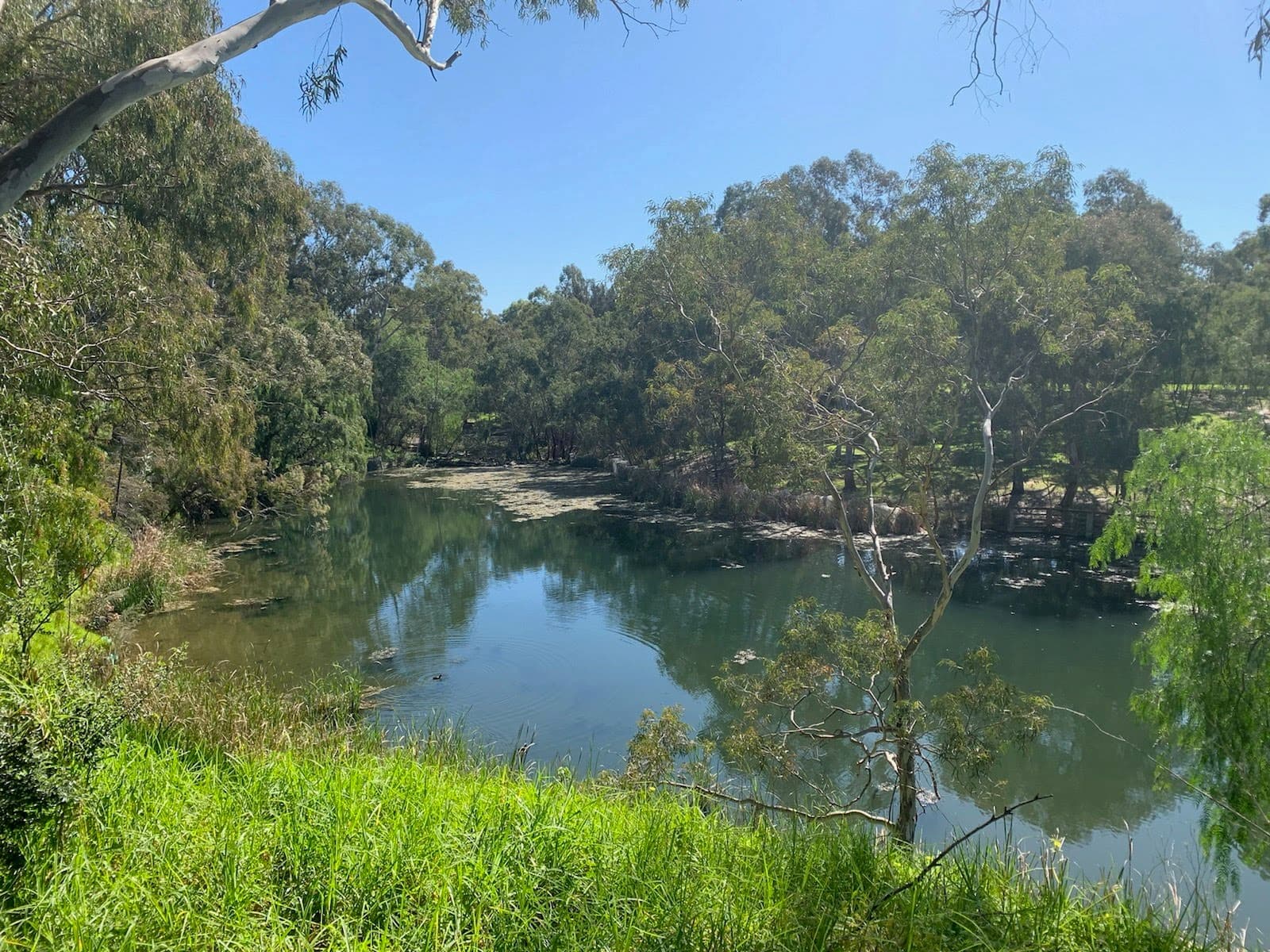 29 River Street, St Peters, SA, 5069, St Peters - Image 1