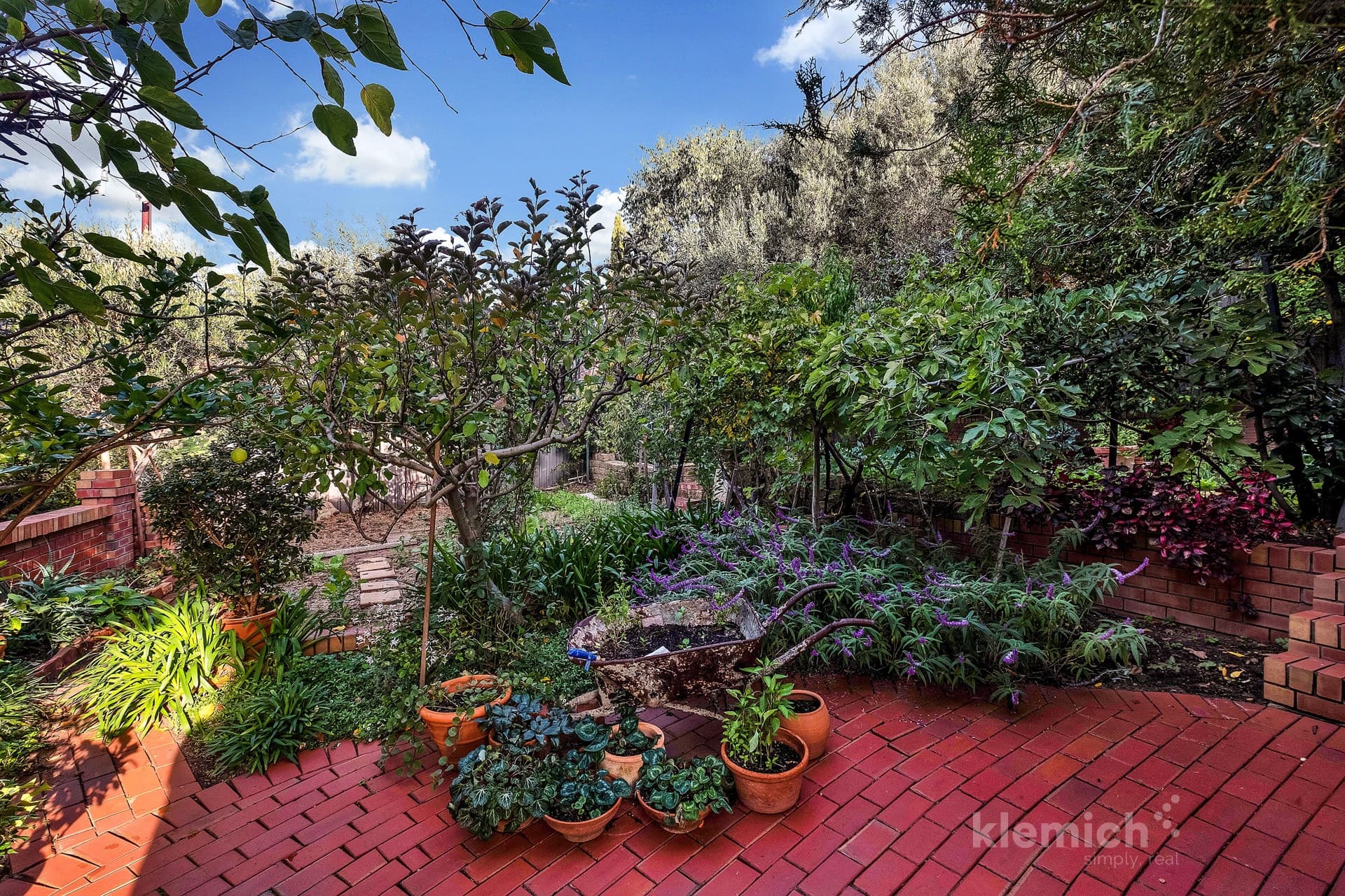 12A Kimba Grove, Pasadena, SA, 5042, Pasadena - Image 1