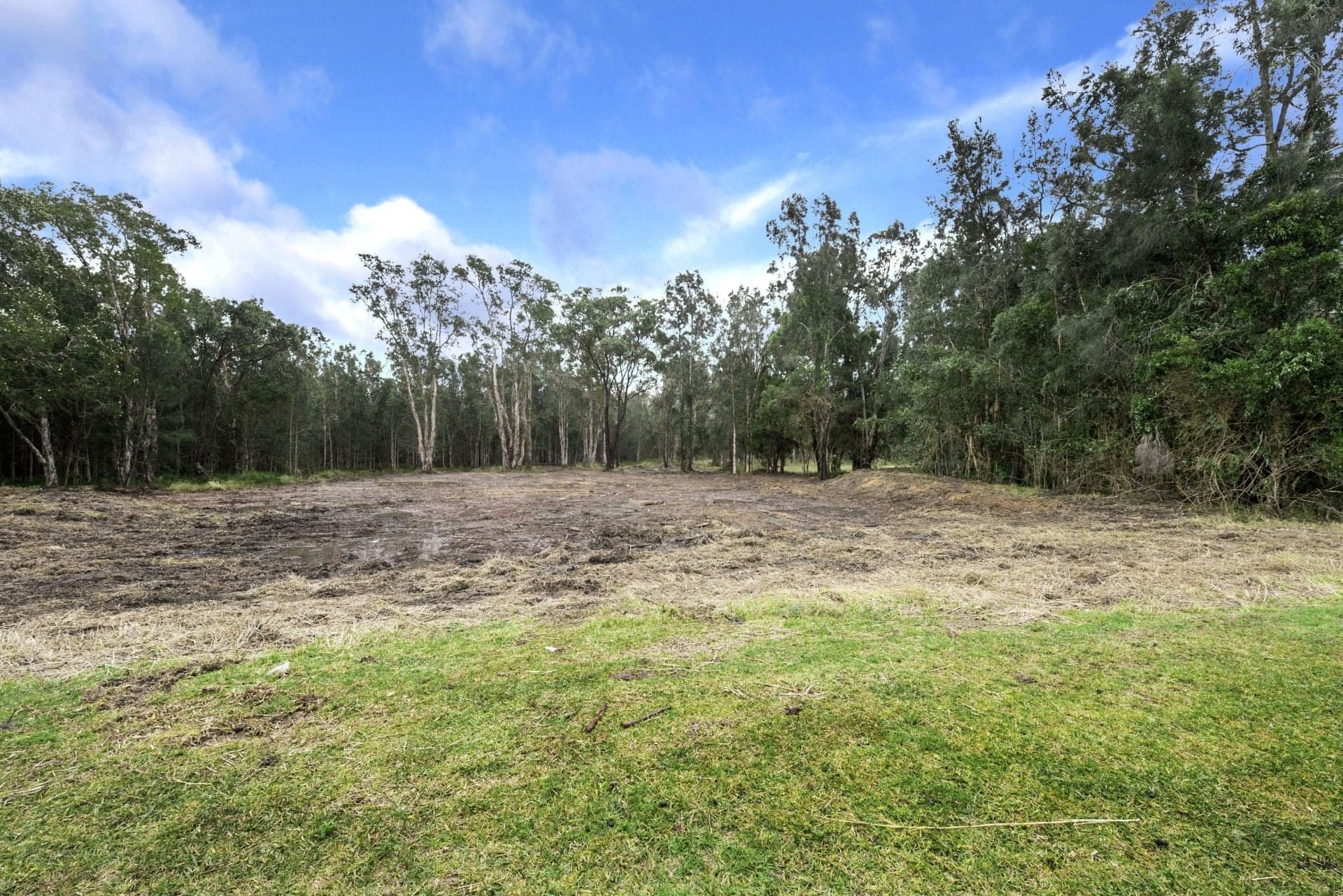 37 Lincoln Road Port Macquarie NSW, Port Macquarie - Image 1