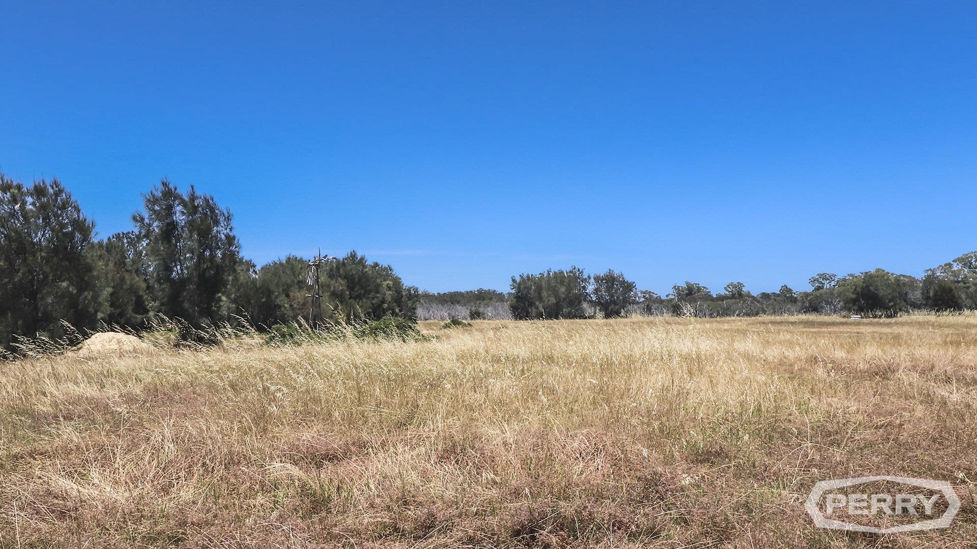 155 Riverside Drive, Furnissdale, Furnissdale - Thumbnail 4