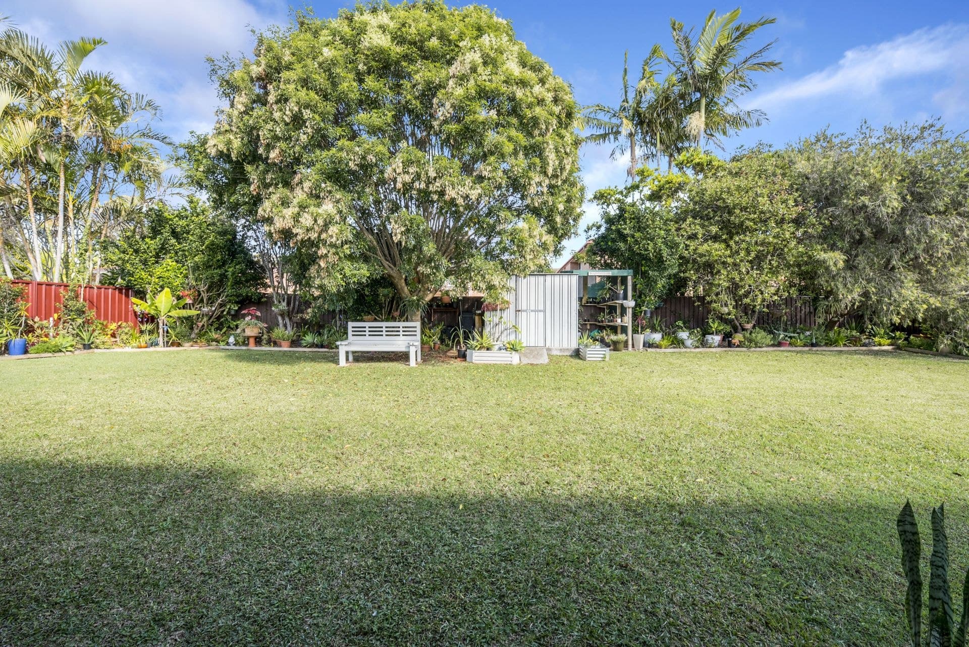 25 Sapphire Drive Port Macquarie NSW, Port Macquarie - Image 1
