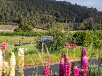 1172 Pine Road, Riana, Riana - Thumbnail 2