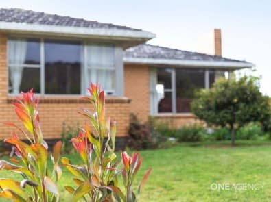 1172 Pine Road, Riana, Riana - Thumbnail 4