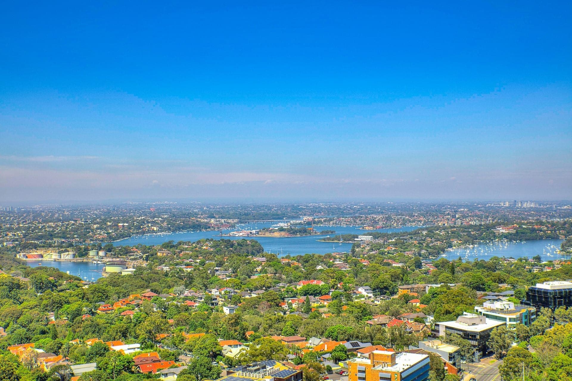 3002/1 Sergeants Lane, St Leonards NSW 2065, St Leonards - Image 1