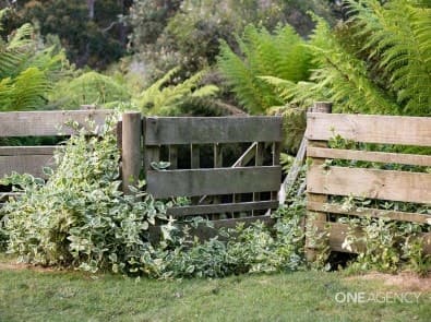 467 Back Cam Road, Somerset, Somerset - Thumbnail 4