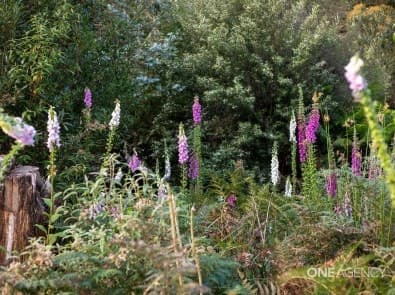 467 Back Cam Road, Somerset, Somerset - Thumbnail 5