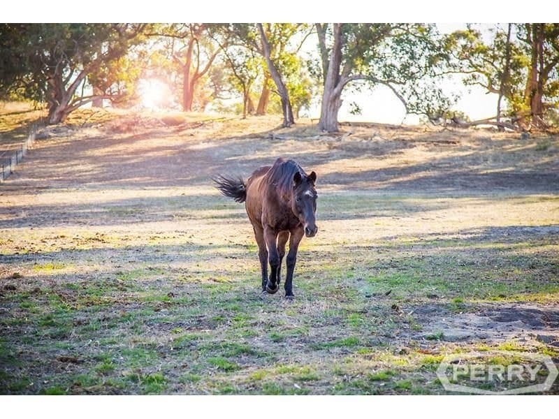 Lot 46 Birch Drive BIRCHMONT WA, Birchmont - Thumbnail 4