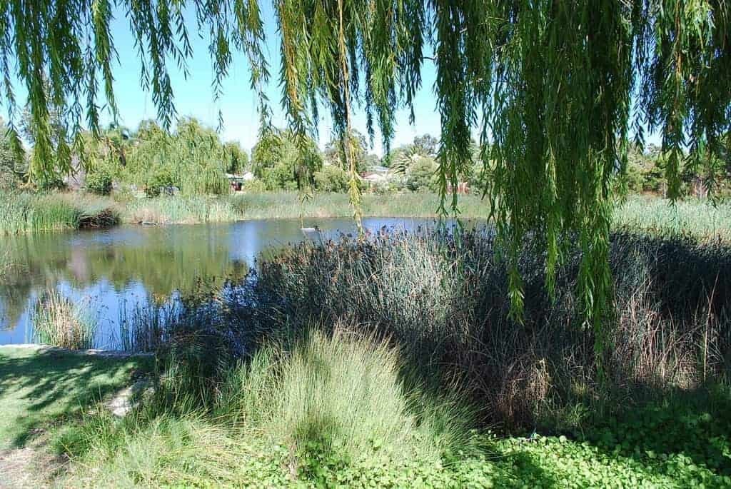 5/9-11 Tom’s Court Bayswater WA 6053 – Well Located, Affordable 3 Bed Villa, Affordable - Thumbnail 2