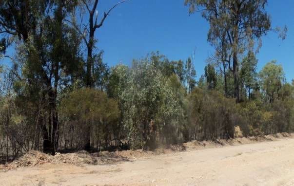 Lot 41 Bennetts School Road St, Tara - Image 1