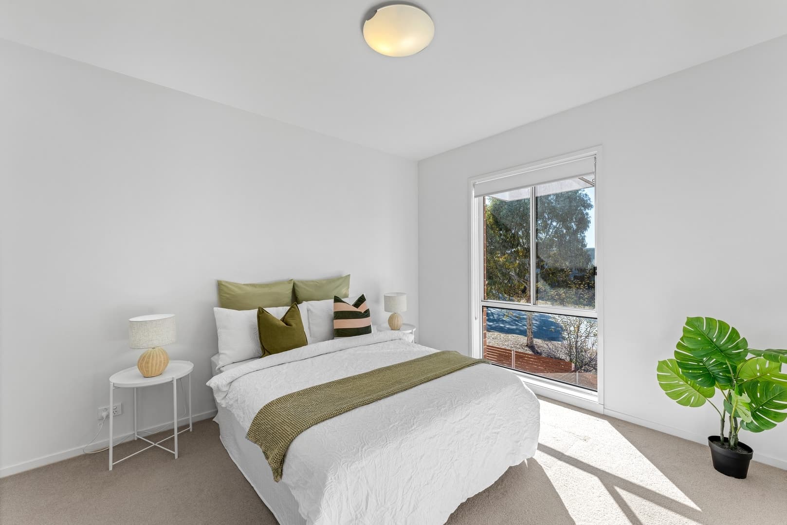 17 Paget Street, Bruce ACT 2617, Bruce - Thumbnail 8