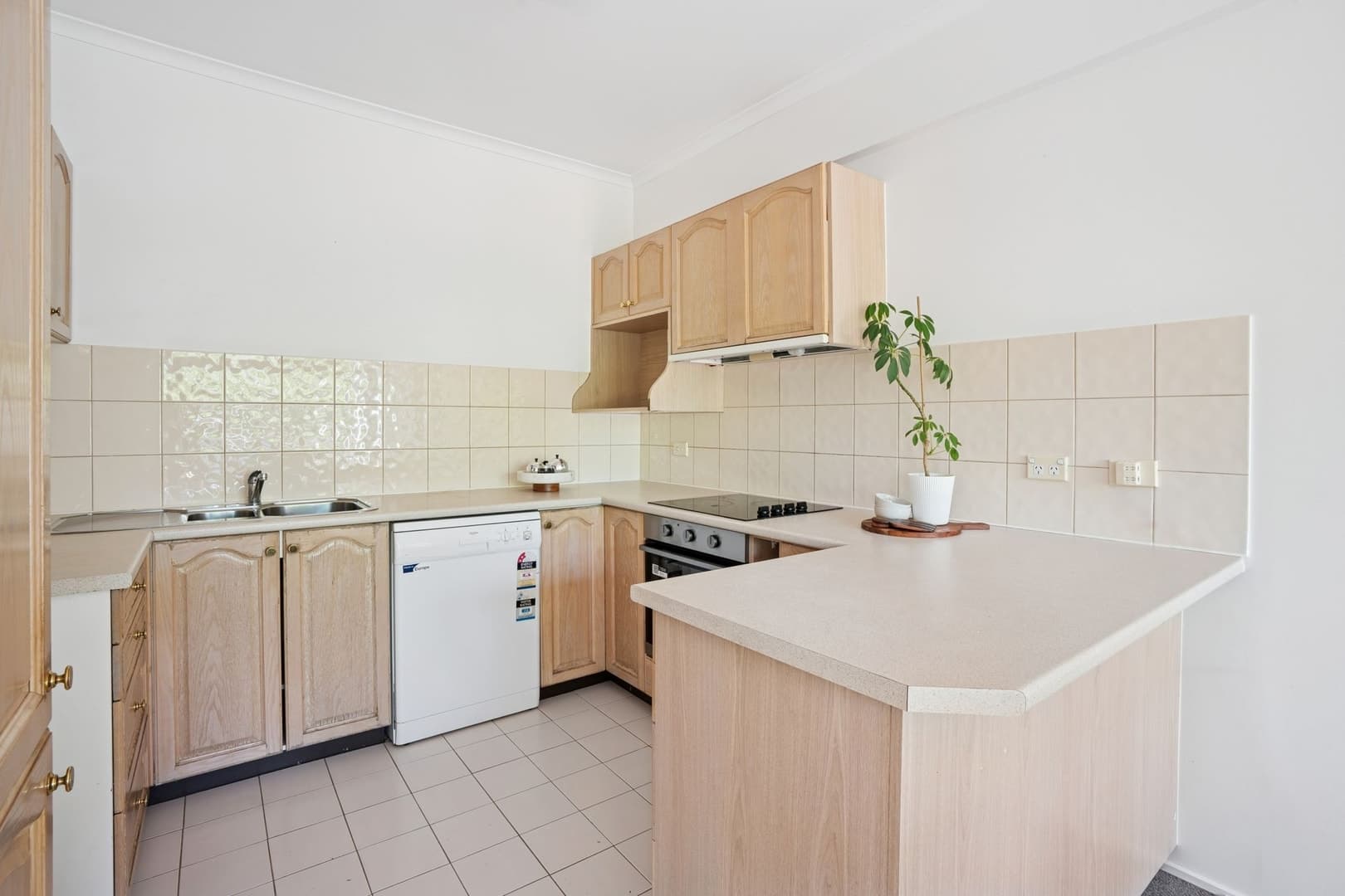 B2/2 Currie Crescent, Griffith ACT 2603, Griffith - Thumbnail 8