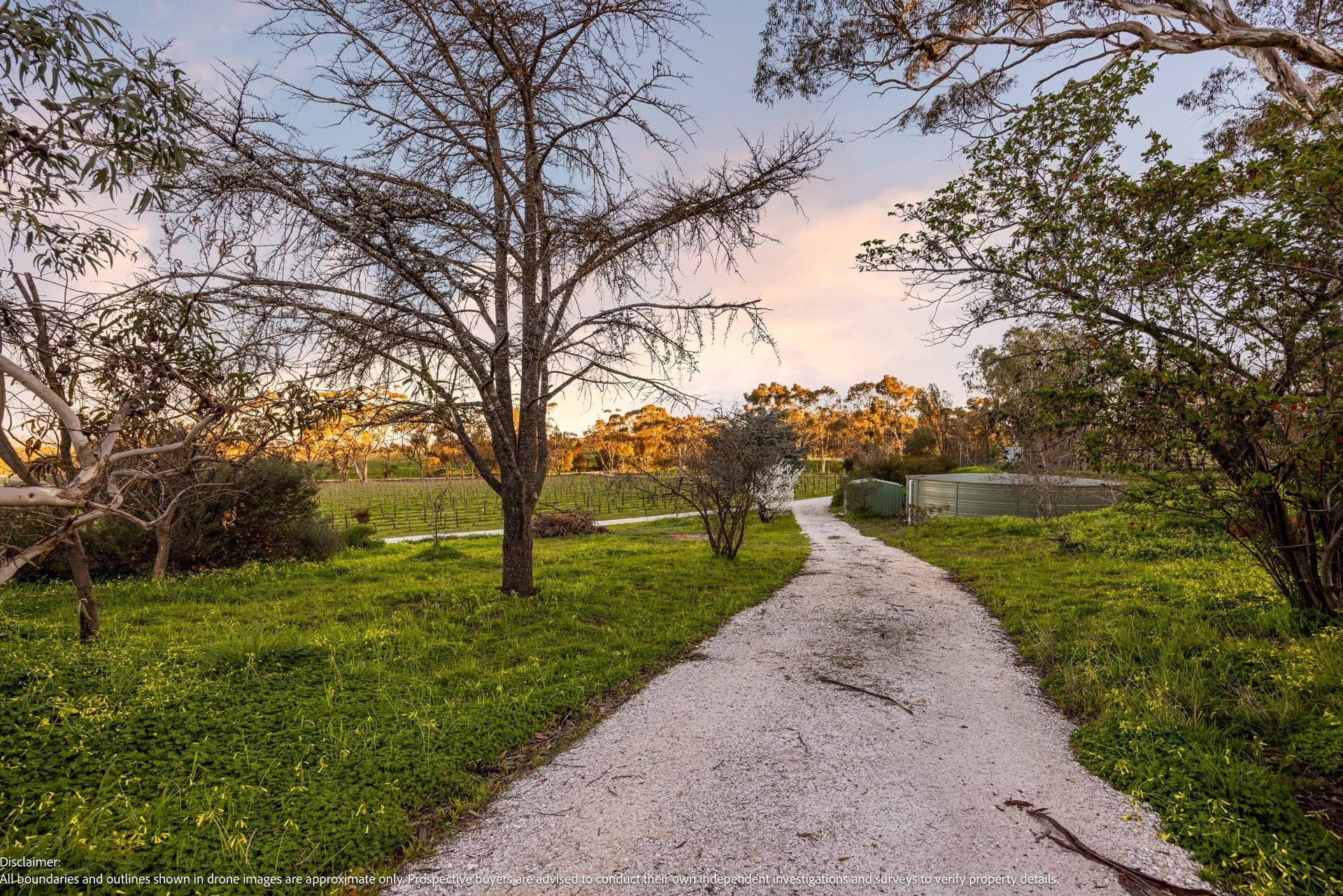 389 Moppa Springs Road, MOPPA, SA 5355, Moppa - Thumbnail 4