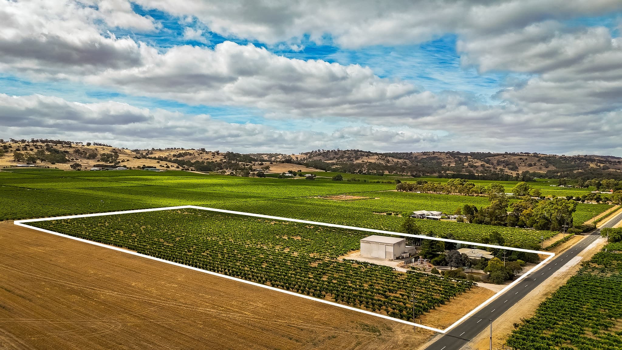 855 Light Pass Road, VINE VALE, SA 5352, Vine Vale - Image 1