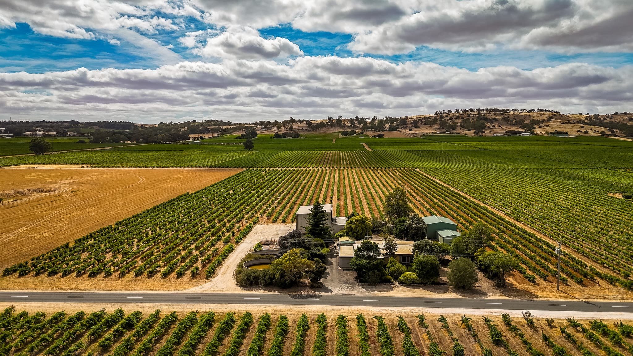 855 Light Pass Road, VINE VALE, SA 5352, Vine Vale - Thumbnail 2