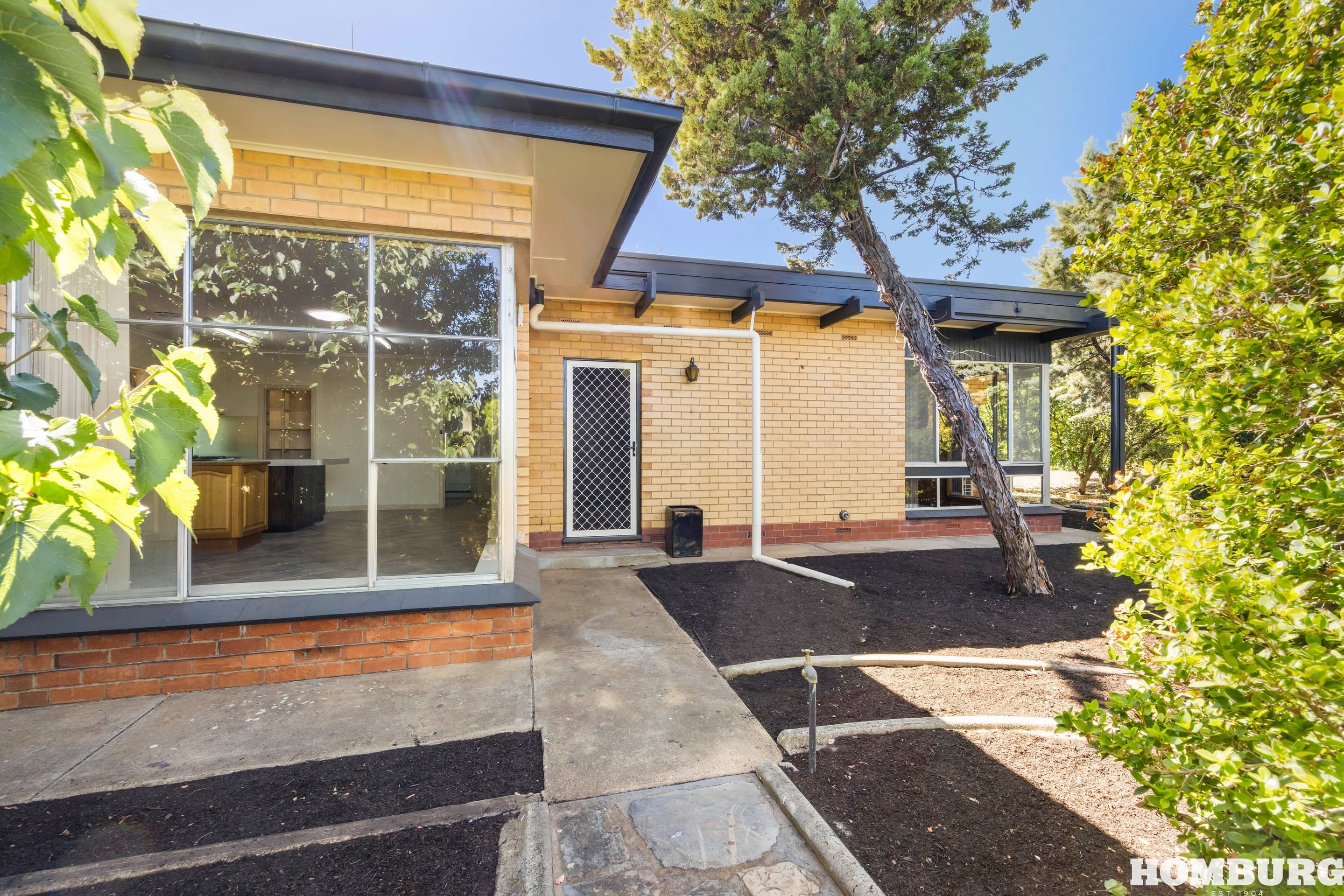 855 Light Pass Road, VINE VALE, SA 5352, Vine Vale - Thumbnail 4