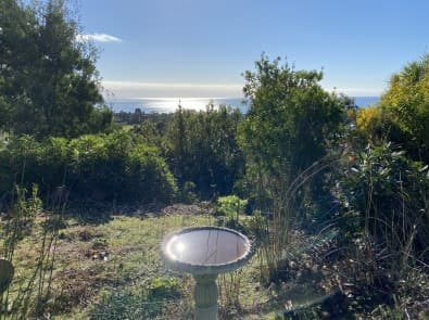 3 Banksia Avenue, Sisters Beach, Sisters Beach - Thumbnail 3