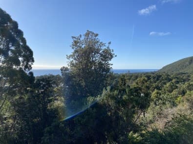3 Banksia Avenue, Sisters Beach, Sisters Beach - Thumbnail 4