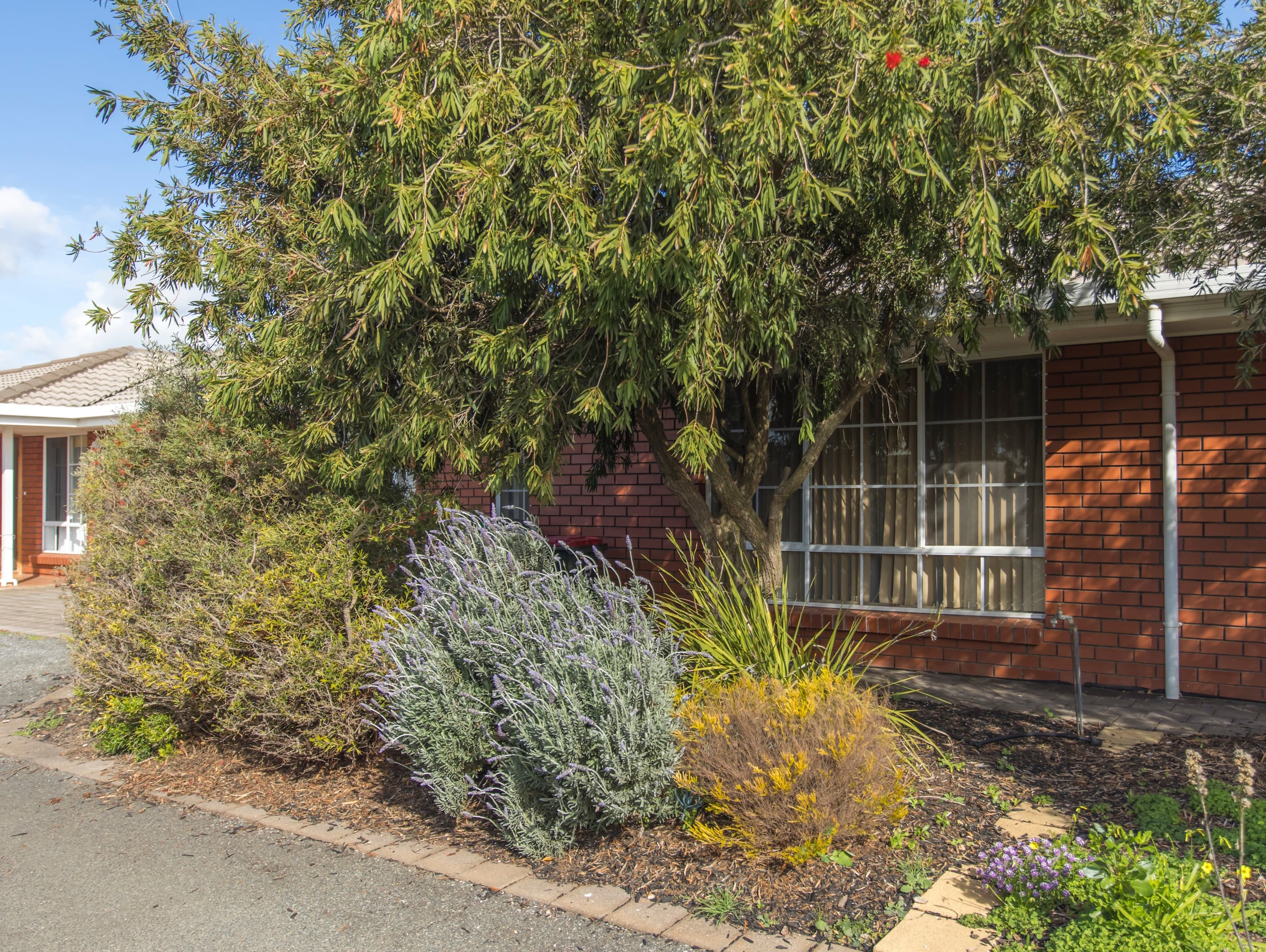2/22 Third Street, NURIOOTPA, Nuriootpa - Thumbnail 7