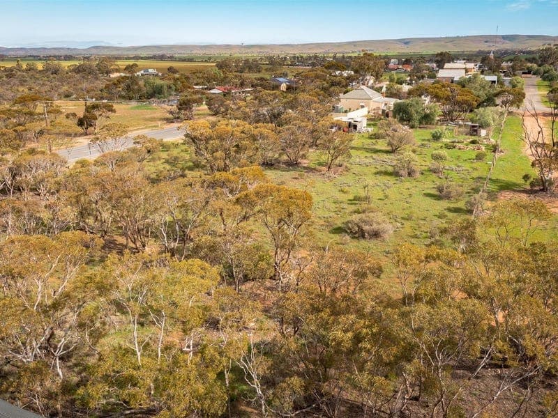 Lots 47  Angaston Swan Reach Road, SEDAN, Sedan - Thumbnail 2