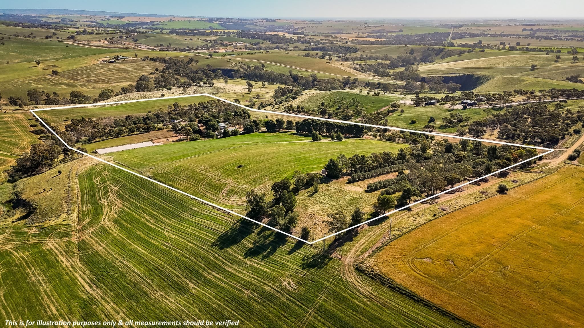 30 Harvey Road, LYNDOCH, SA 5351, Lyndoch - Thumbnail 3