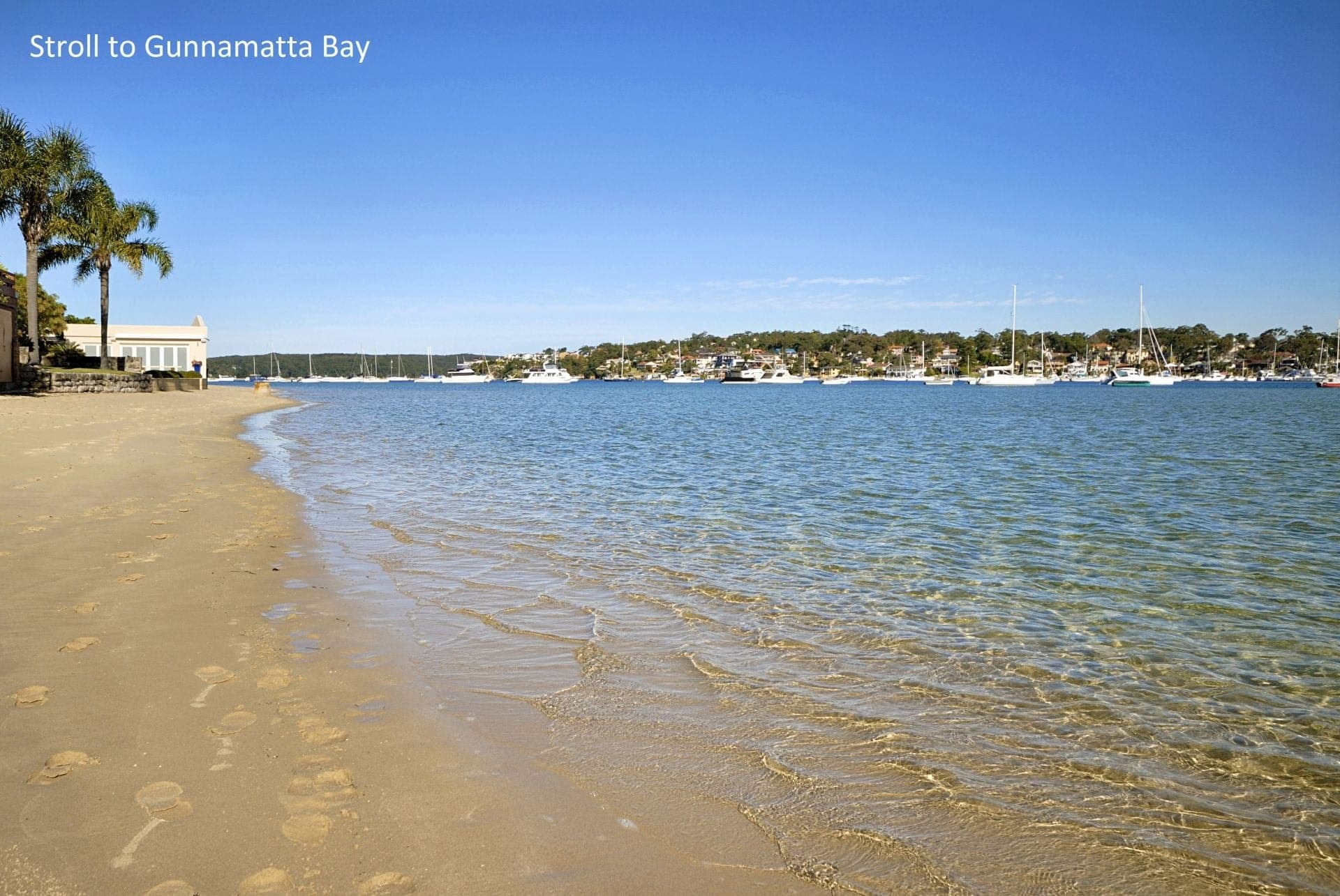 14 Taloombi Street Cronulla NSW, Cronulla - Thumbnail 8
